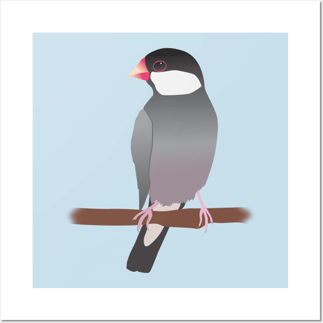 Java sparrow Wall Art by Bwiselizzy